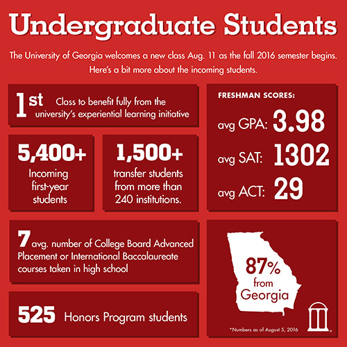 Undergraduate student demographic statistics chart